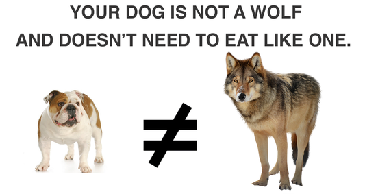 Your Dog is Not a Wolf and Doesn't Need to Eat Like One
