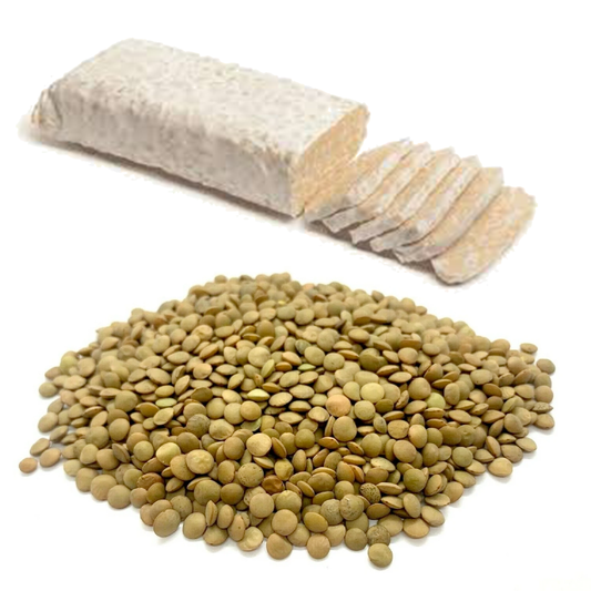 Lentil & Tempeh for Puppies