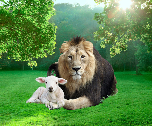 The Lion Who Laid Down with the Lamb