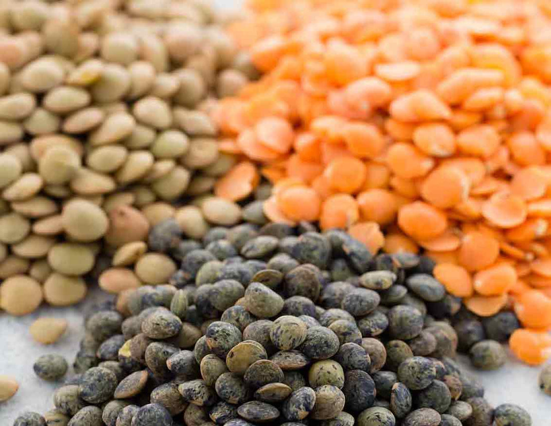 Lentils for Adult Dogs