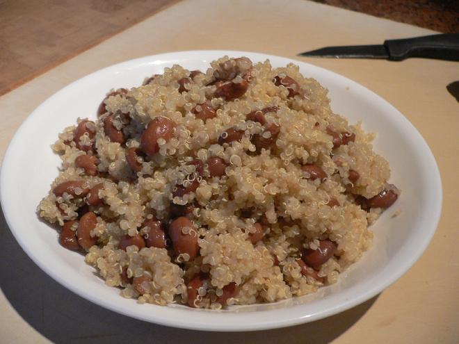 Pinto - Quinoa - Tofu/Tempeh for Adult Dogs