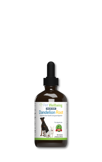 Dandelion Root Digestion & Liver Tincture