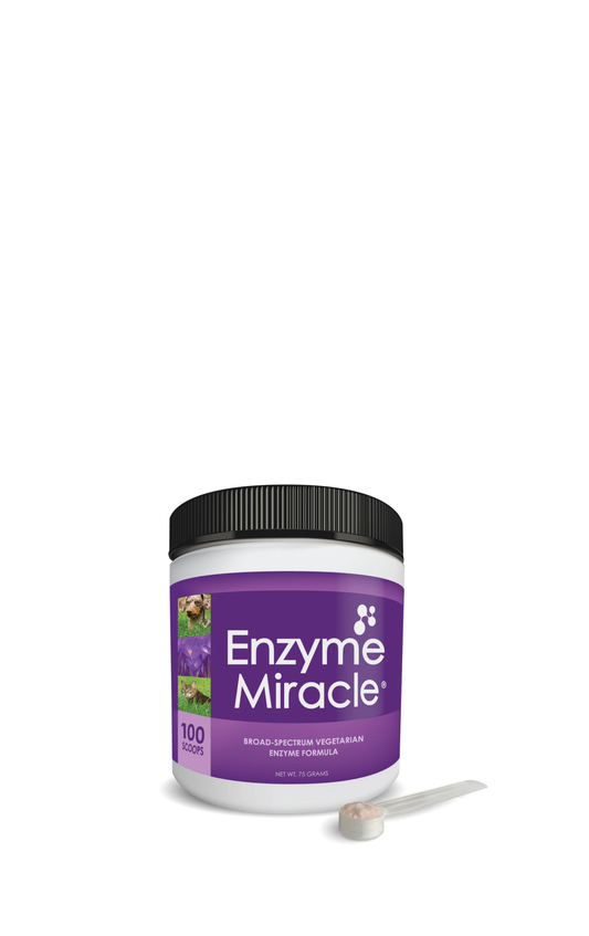 Enzyme Miracle® Digestive Enzymes
