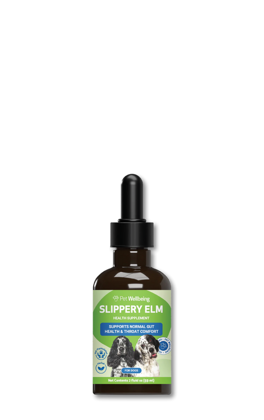 Slippery Elm Tincture 2oz