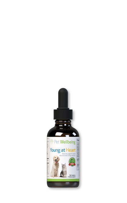 Young at Heart - Healthy Heart Maintenance Tincture