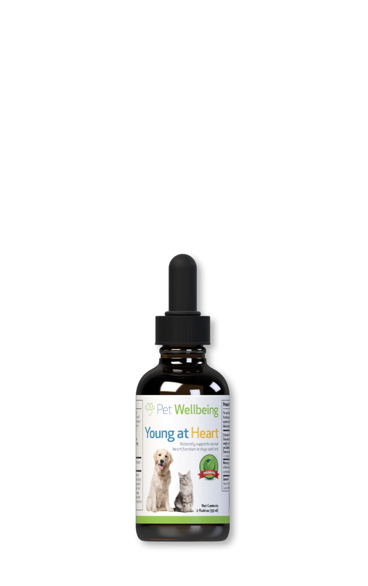 Young at Heart - Healthy Heart Maintenance Tincture