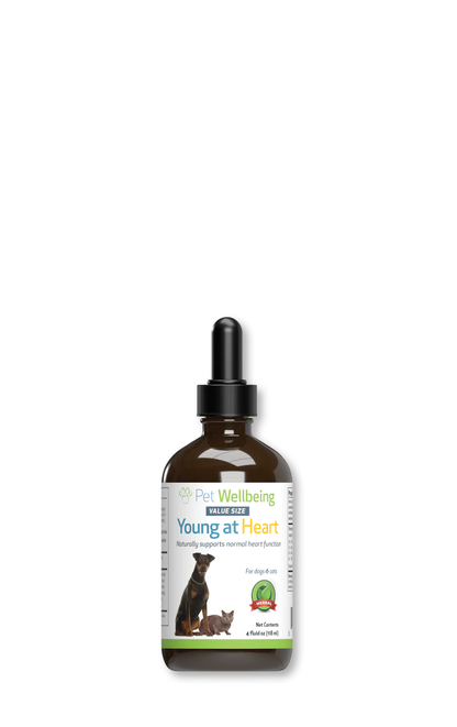 Young at Heart - Healthy Heart Maintenance Tincture