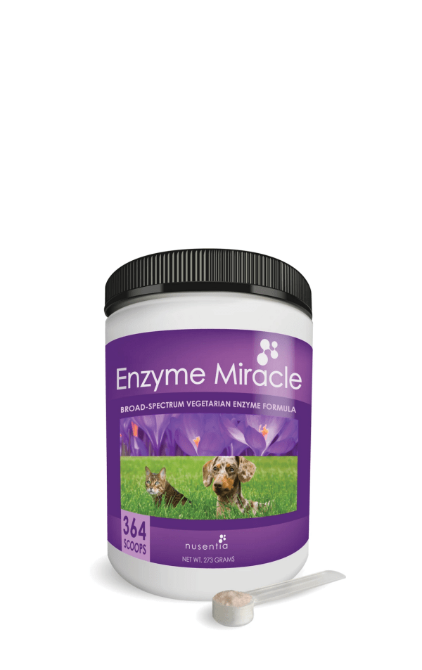 Enzyme Miracle® Digestive Enzymes 273g