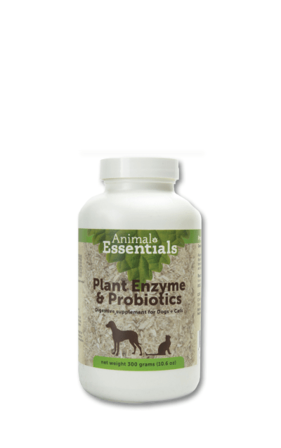 Plant Enzymes and Probiotics for Dogs