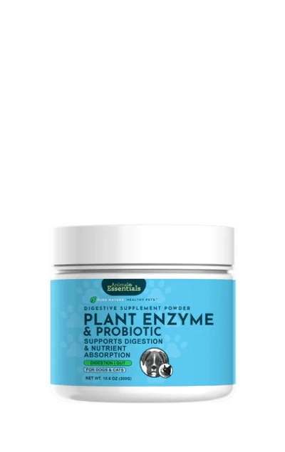 Plant Enzymes and Probiotics
