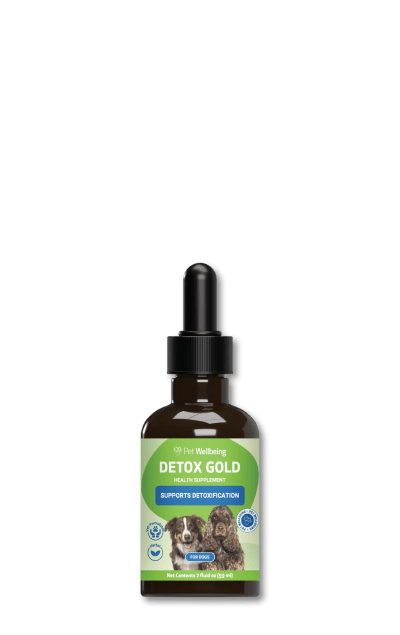 Detox Gold Tincture