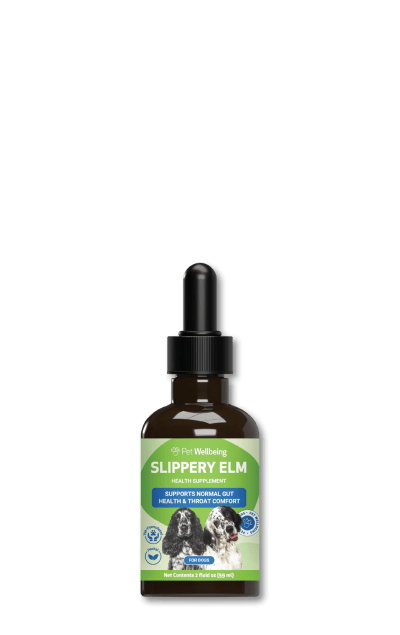 Slippery Elm Bark Tincture